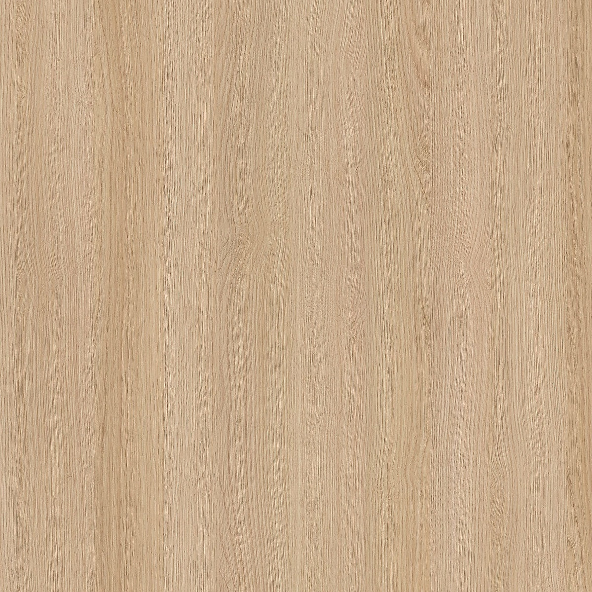 19210059 20 - Image