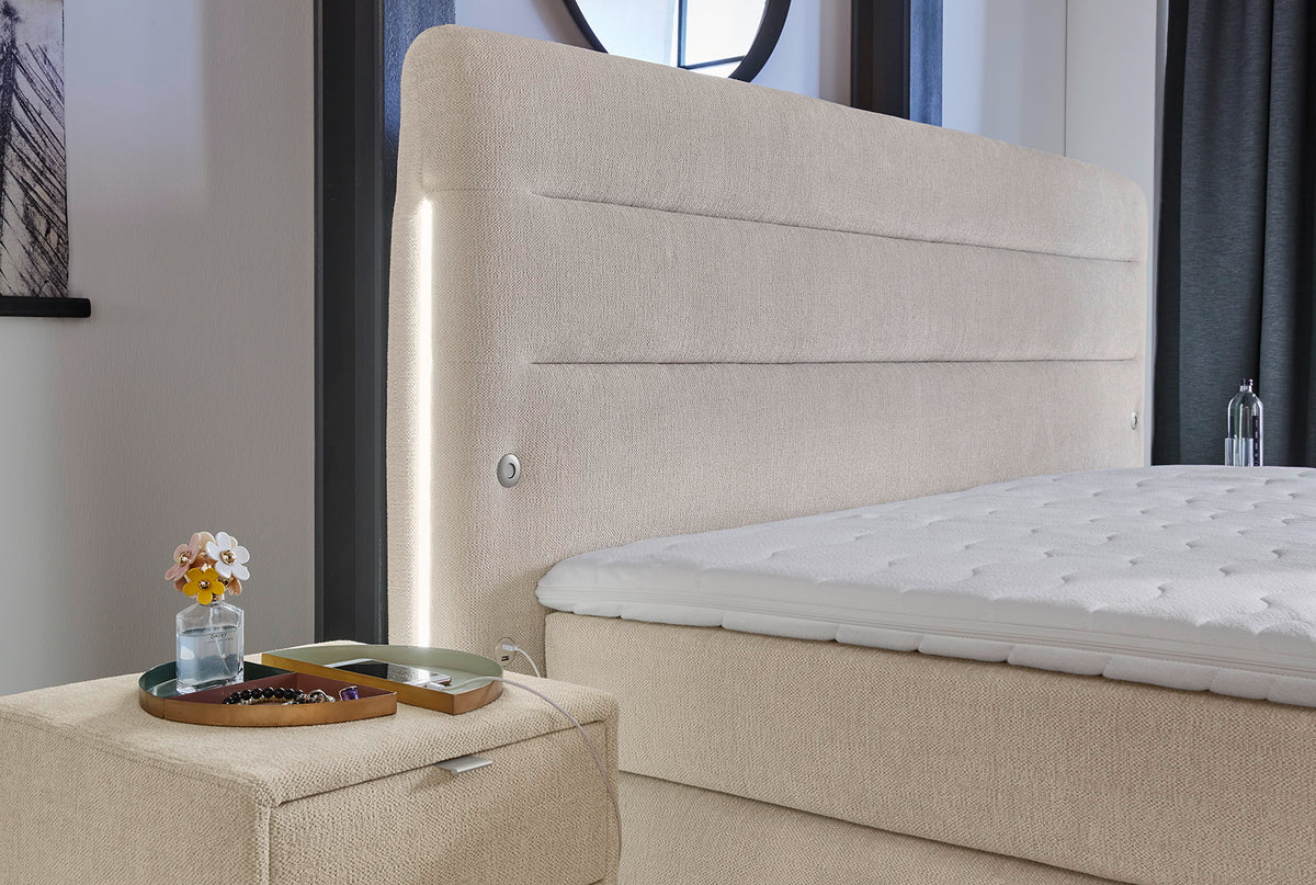 19430054 02 - Image