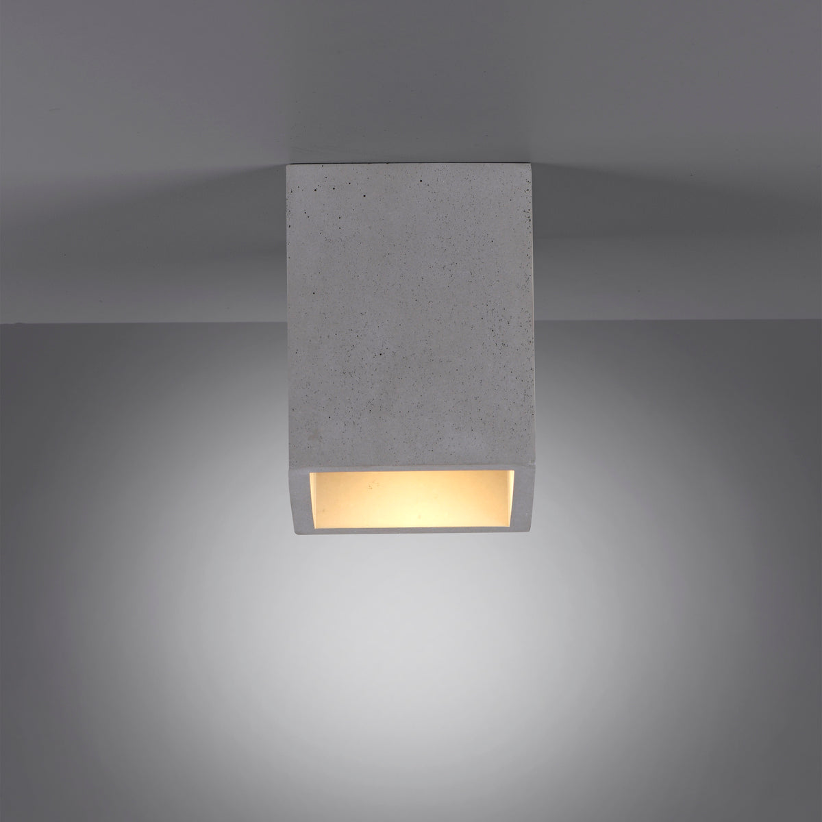 40110731 01 - Image