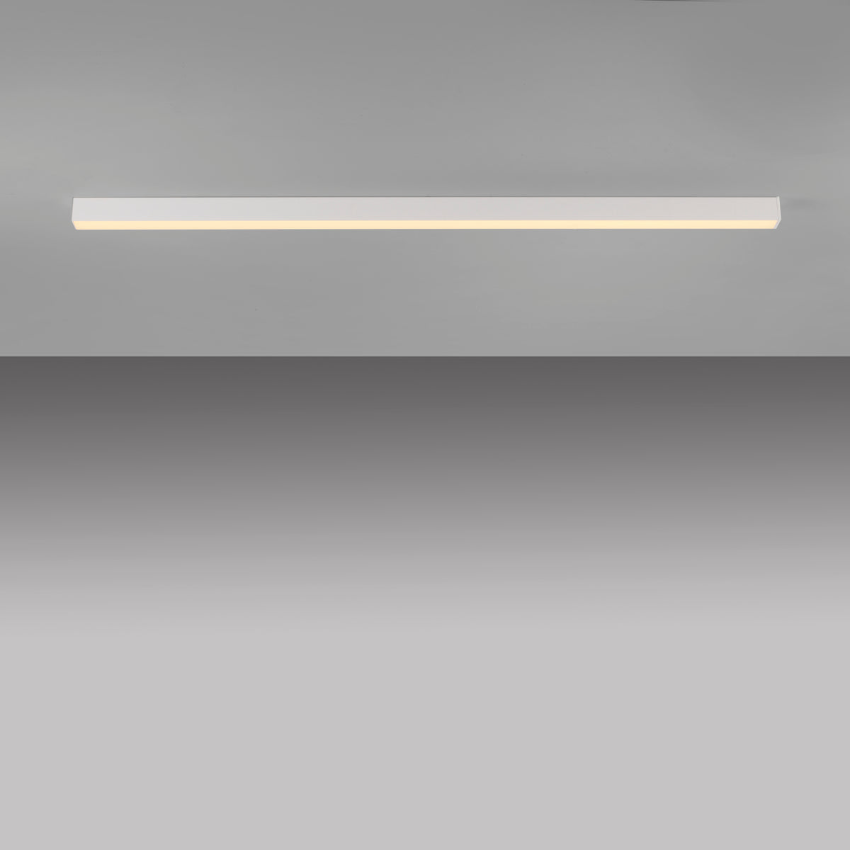 40110739 15 - Image