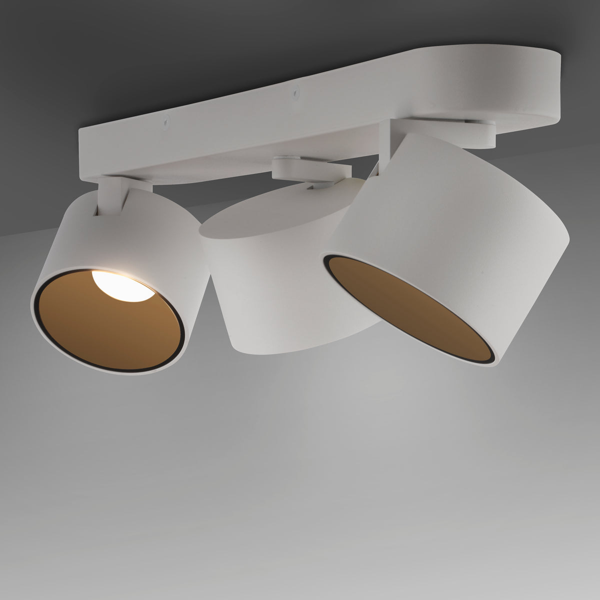 40110795 01 - Image