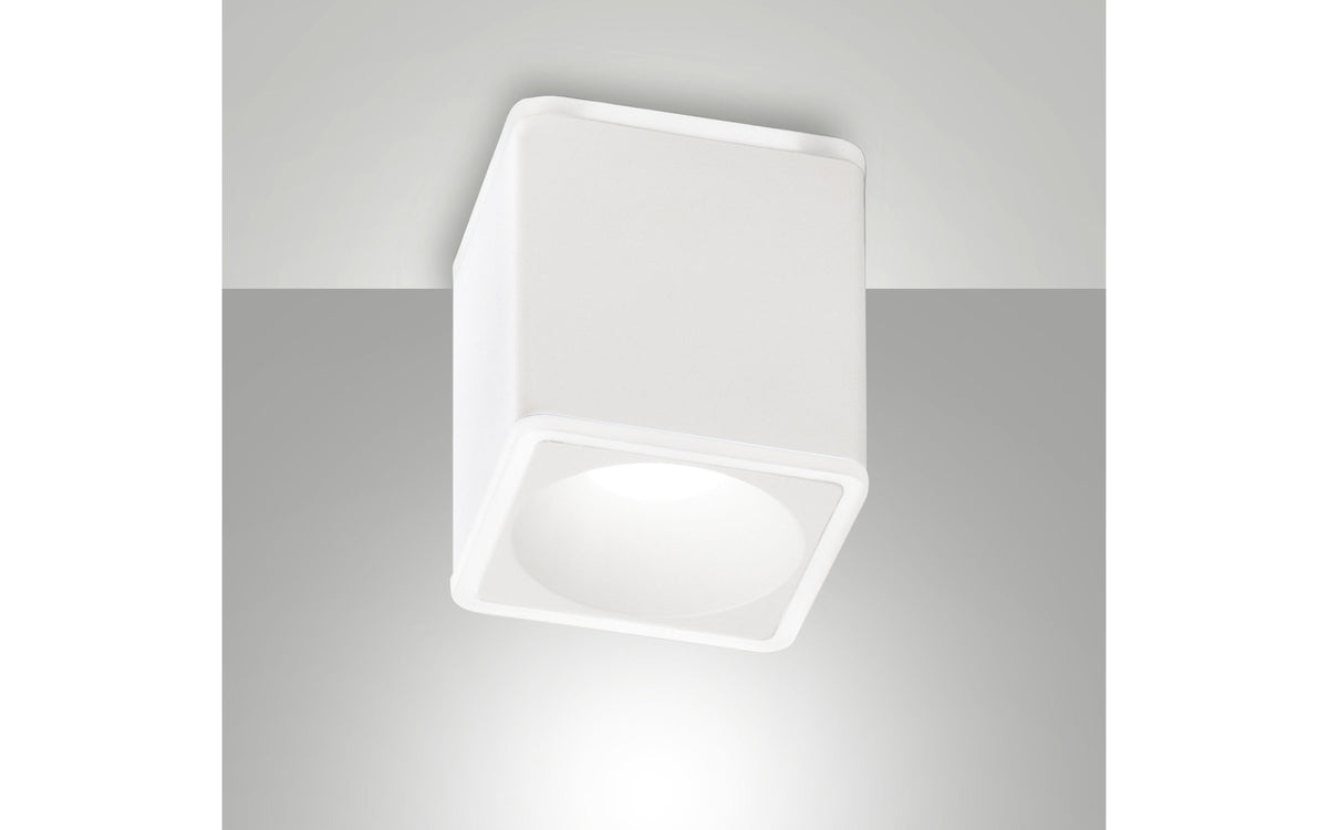 40510229 01 - Image