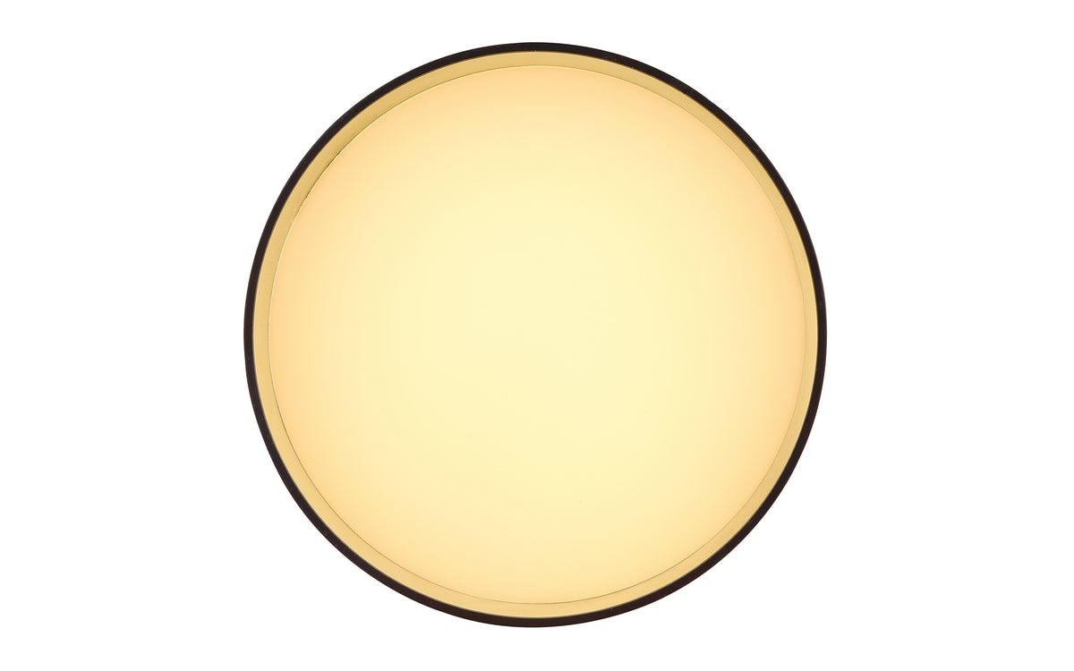40540400 01 - Image