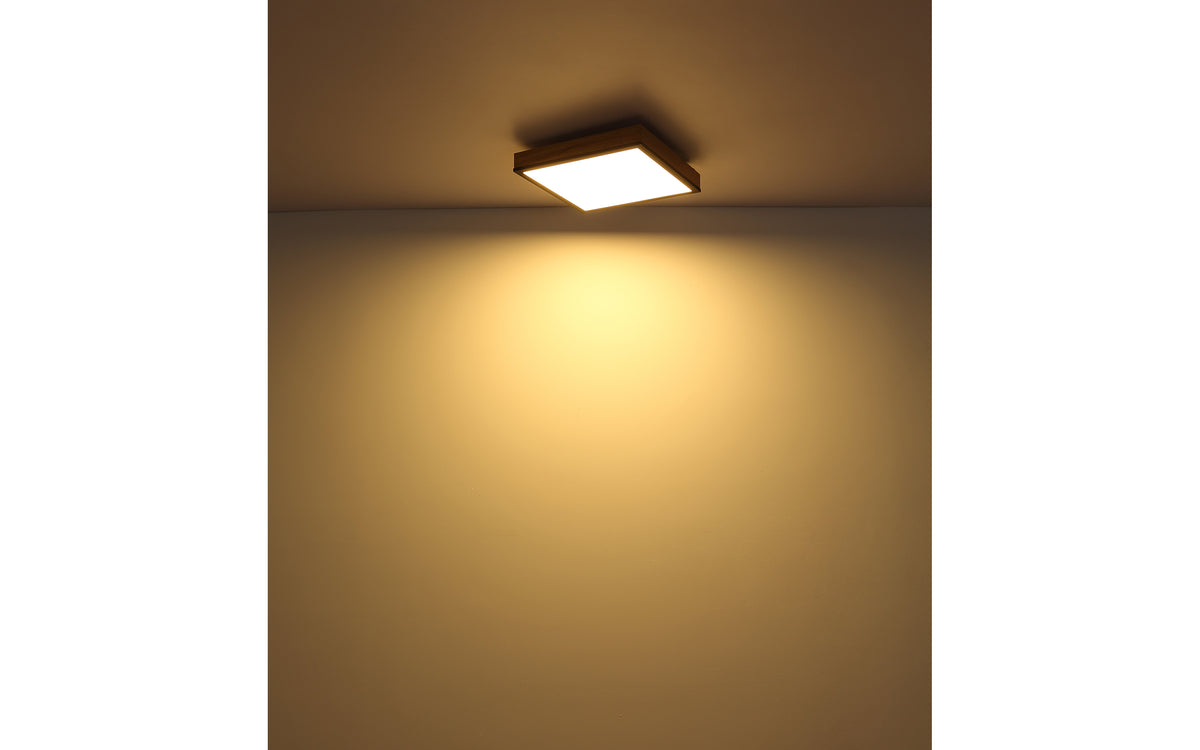 40540422 01 - Image