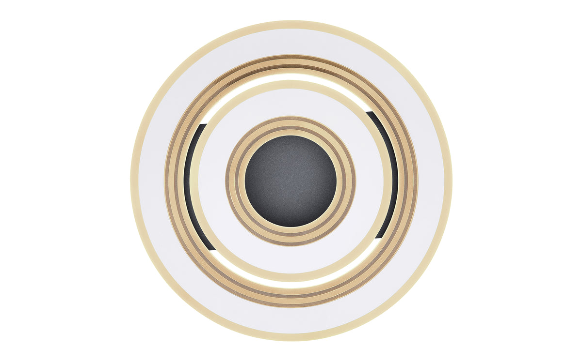 40540439 01 - Image