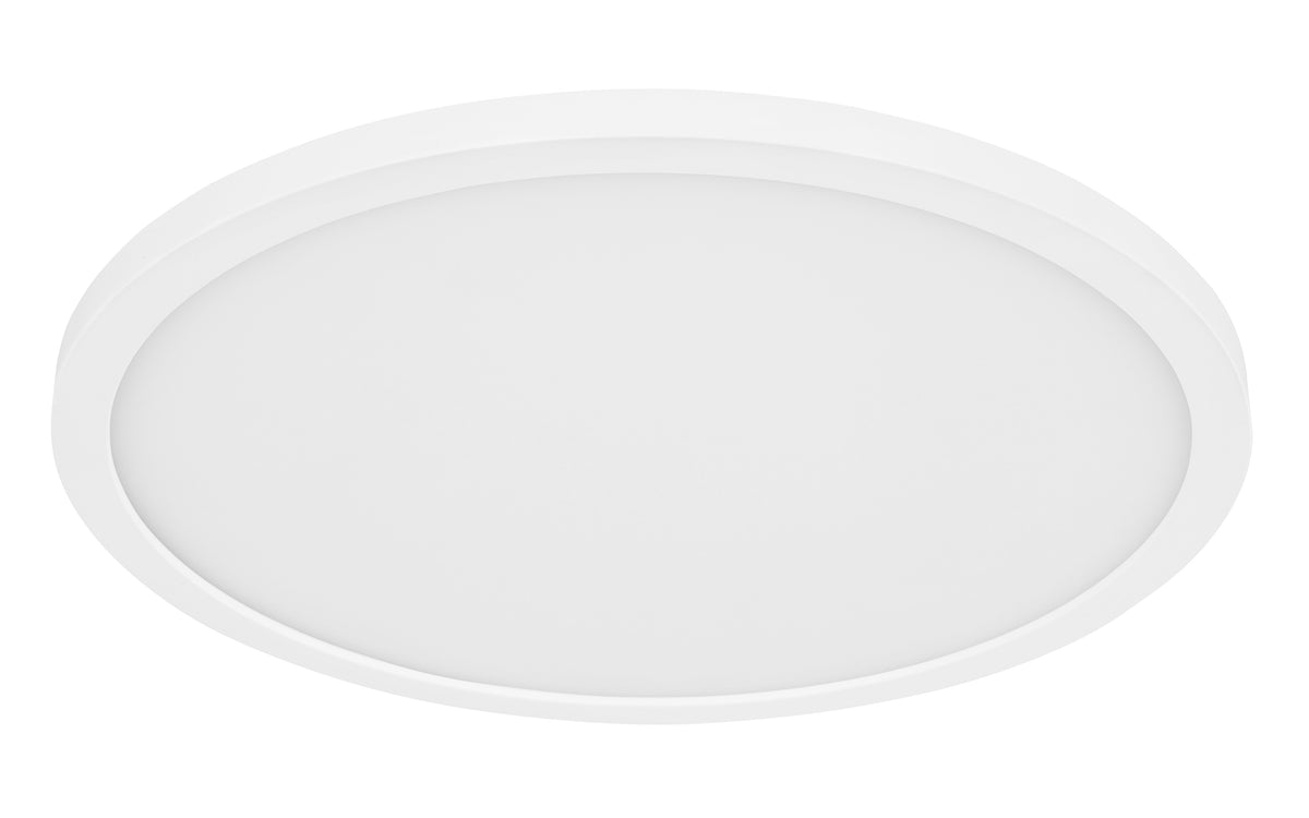 40540450 01 - Image