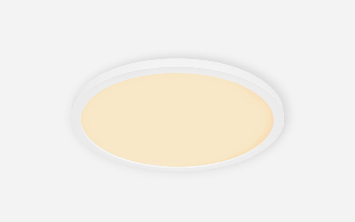 40540450 01 - Image