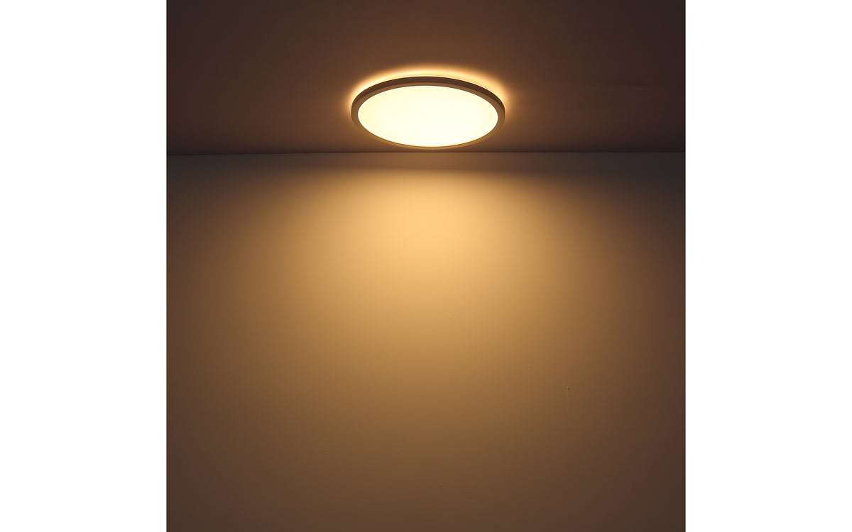 40540450 01 - Image