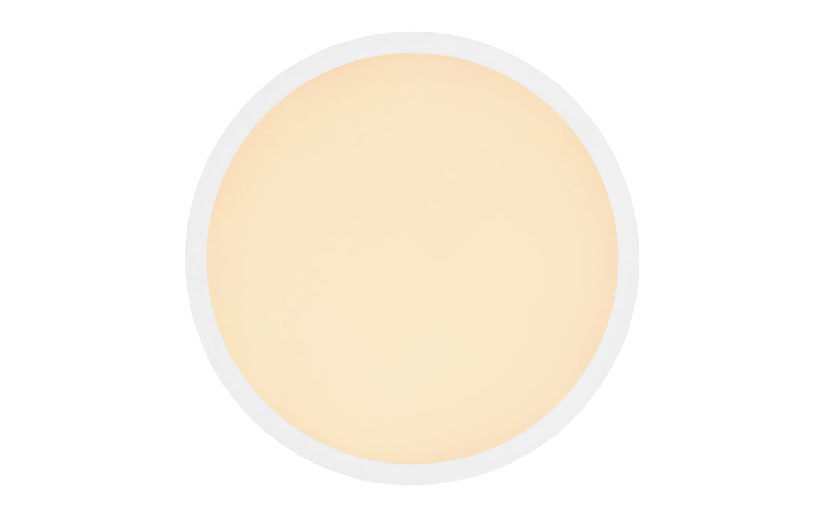 40540450 01 - Image