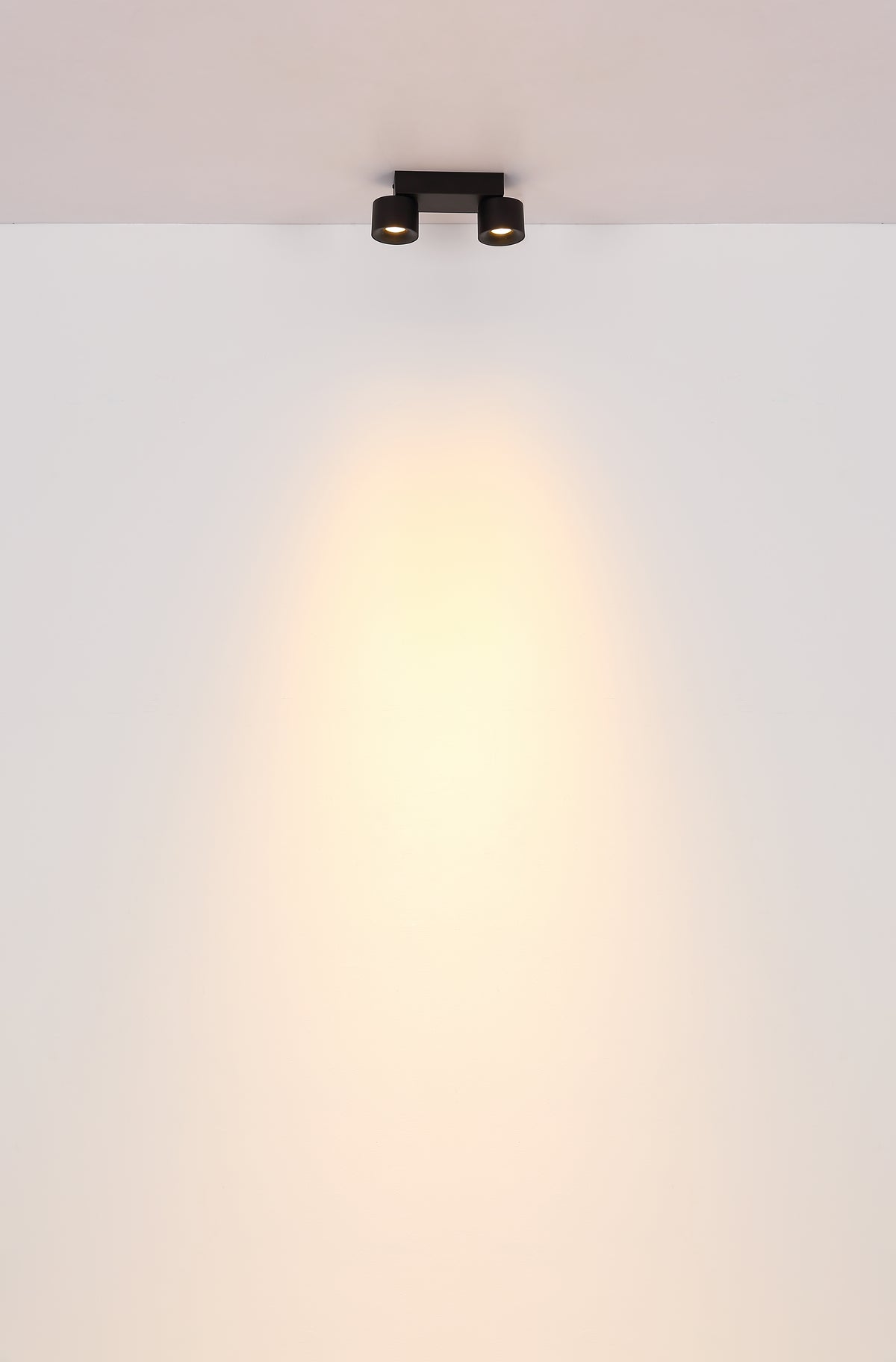40540503 01 - Image