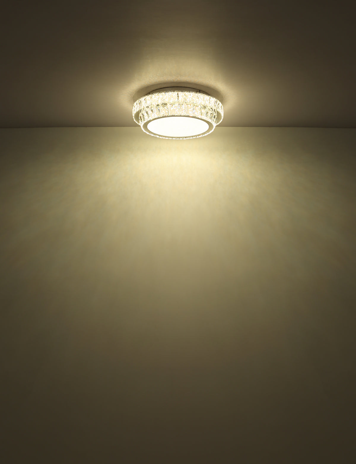 40540510 01 - Image