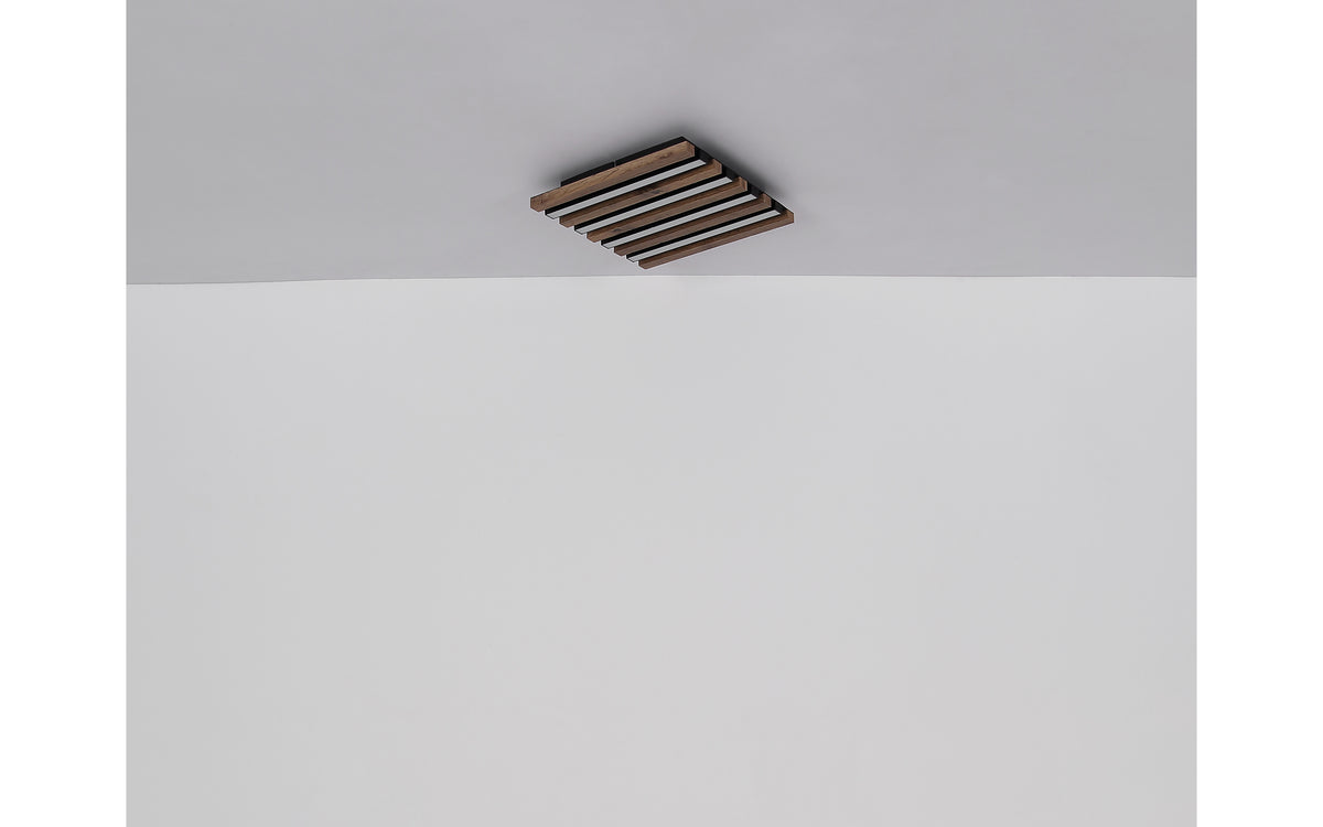 40540516 01 - Image