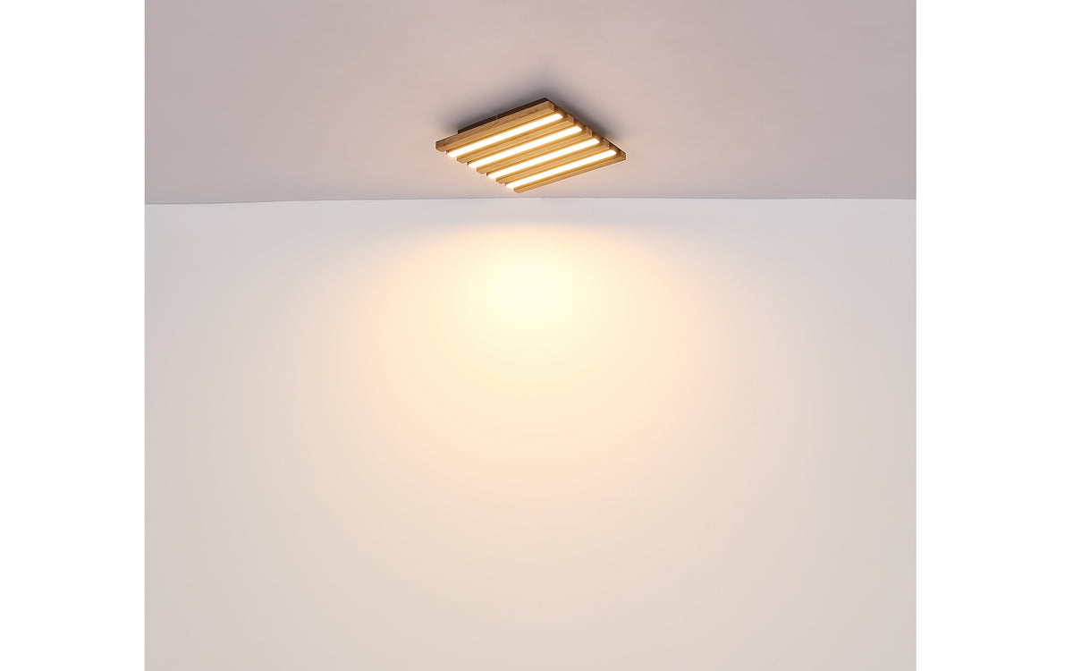 40540516 01 - Image