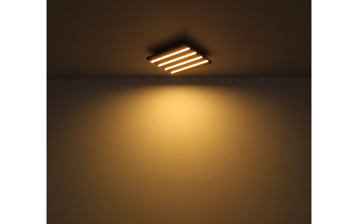 40540516 01 - Image
