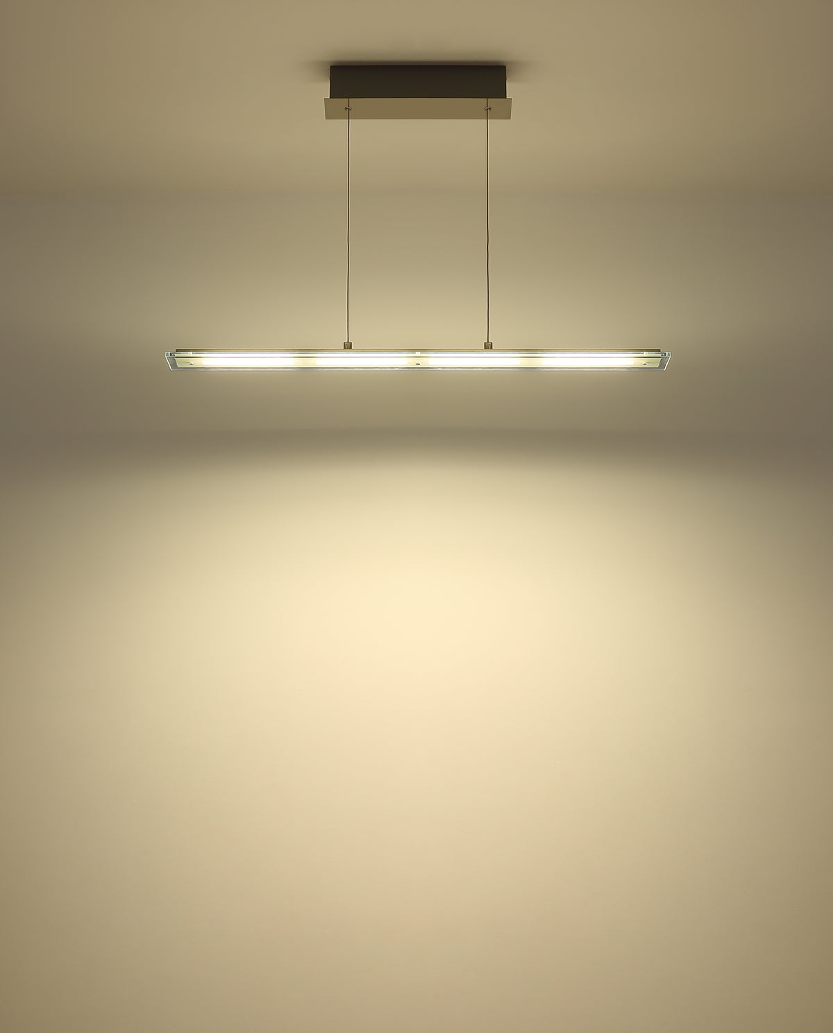 40540522 01 - Image