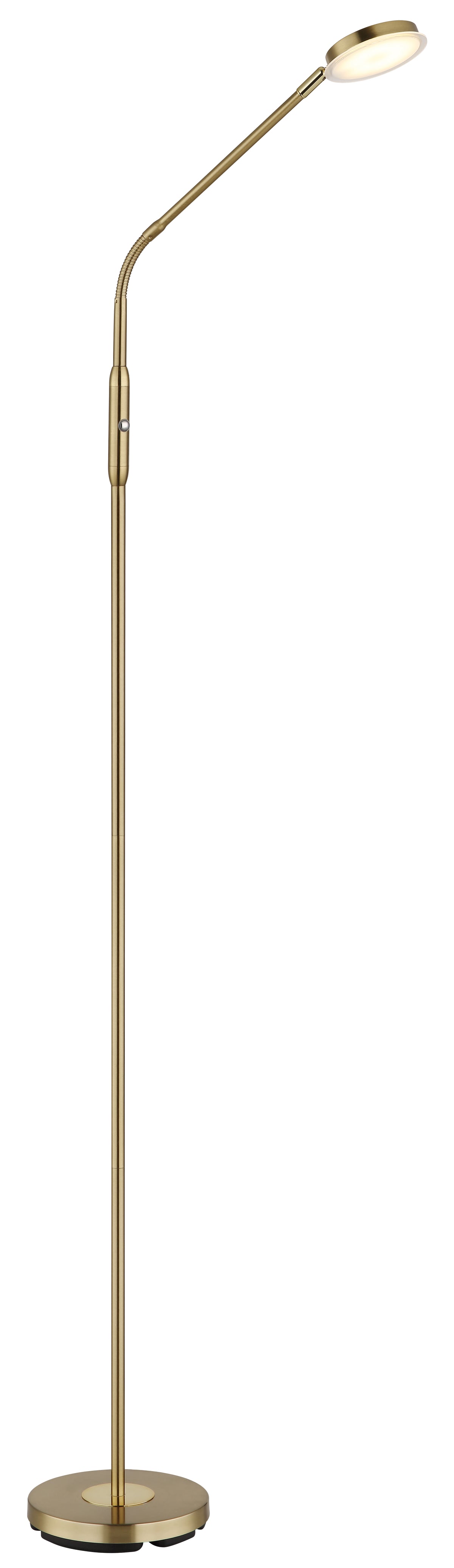 40540523 06 - Image