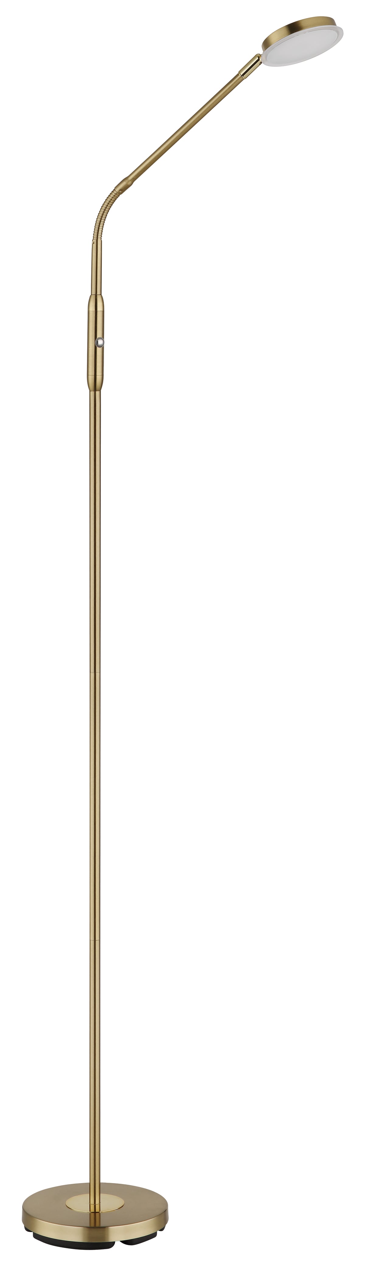 40540523 06 - Image