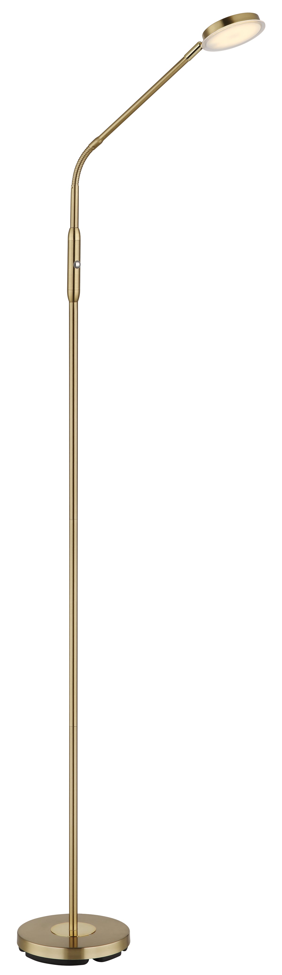 40540523 06 - Image