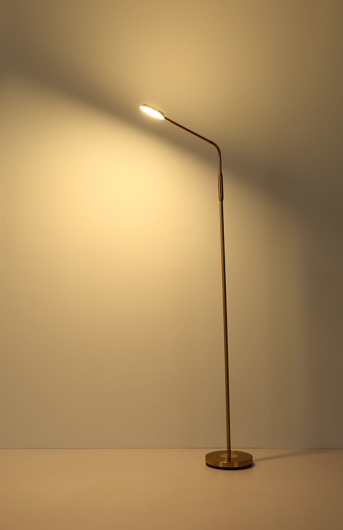 40540523 06 - Image