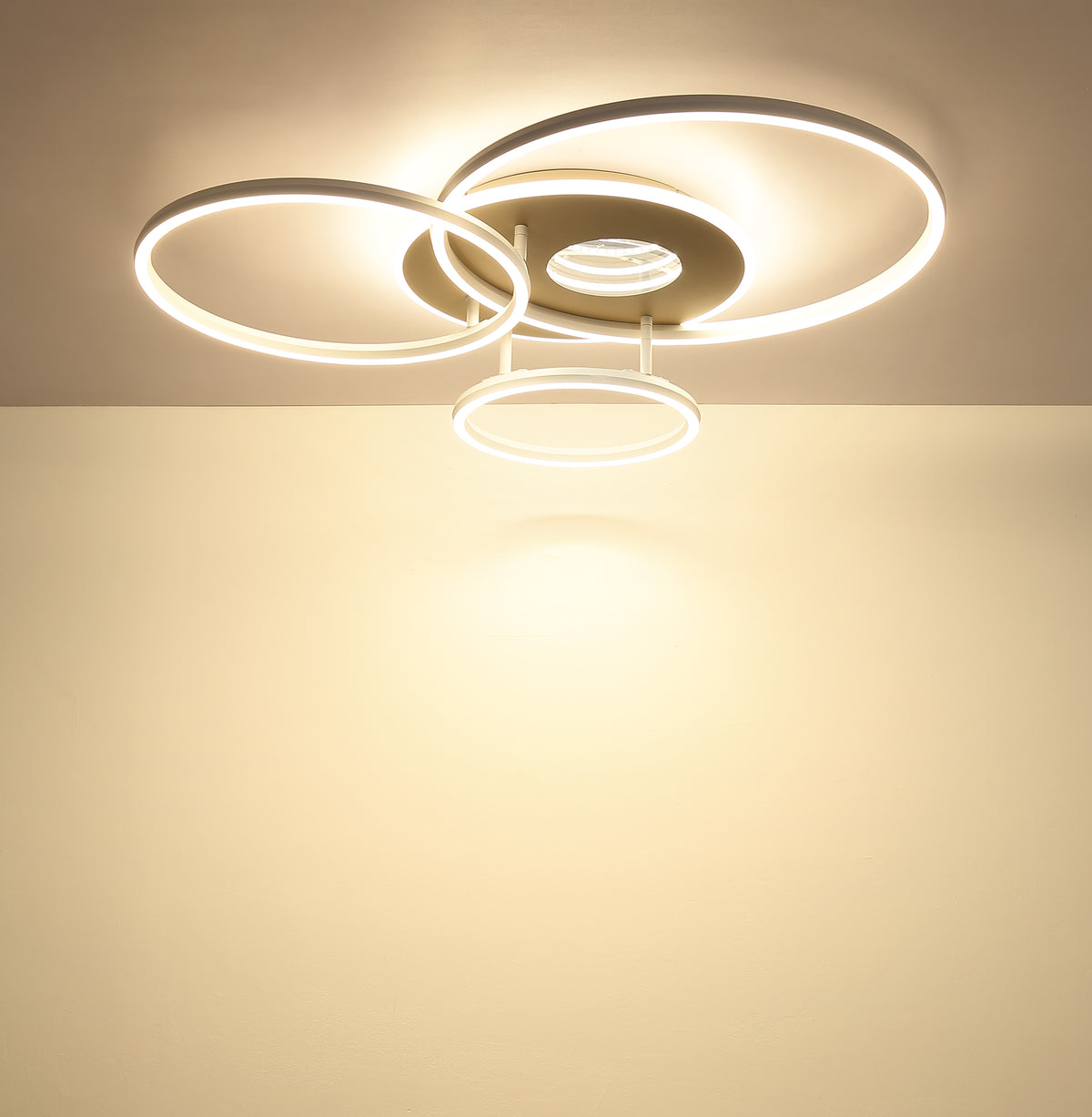 40540528 01 - Image
