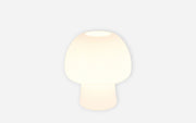 40540541 01 - Image