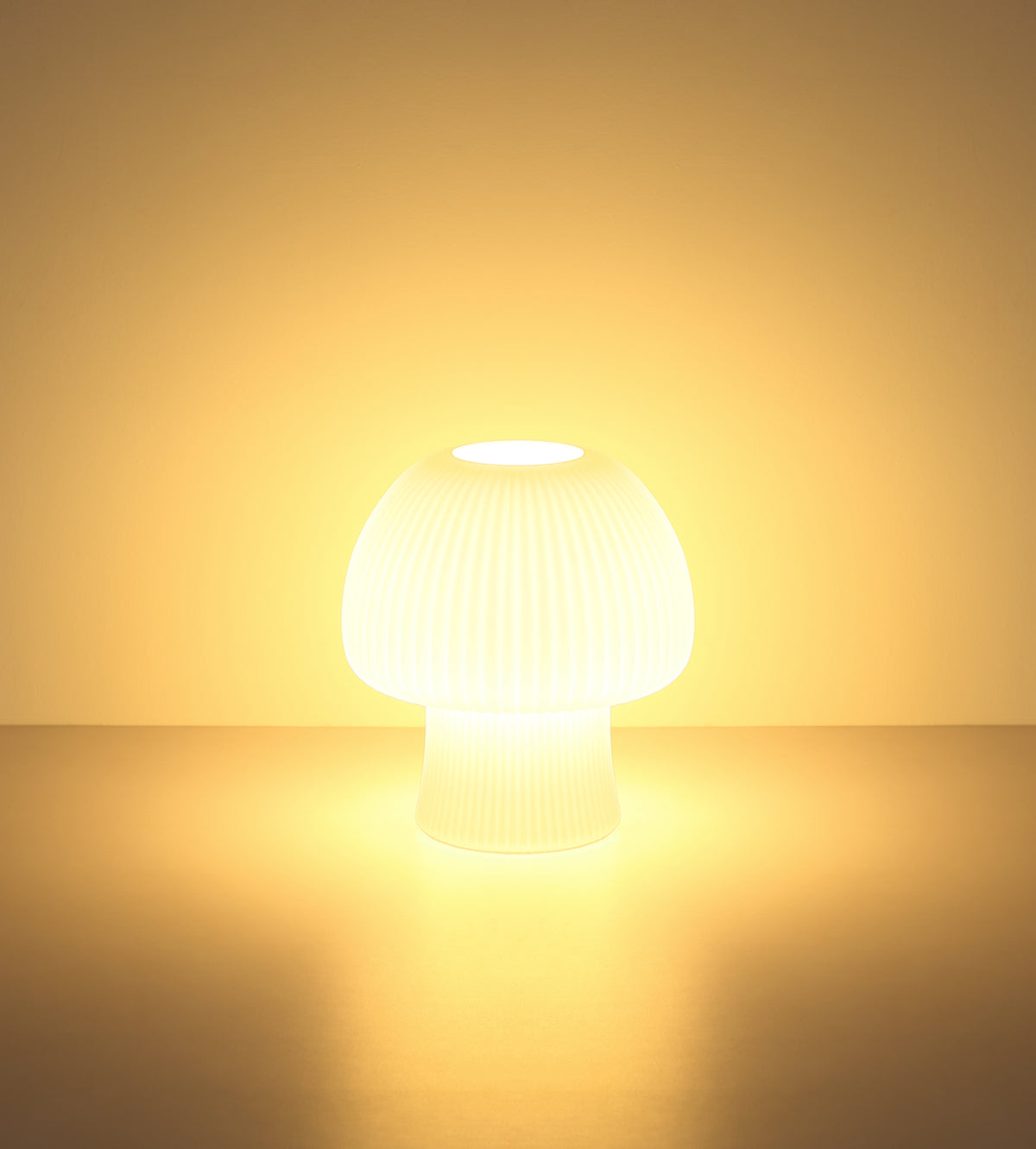 40540541 01 - Image