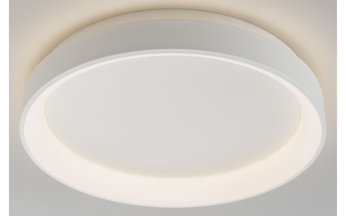 40550152 03 - Image