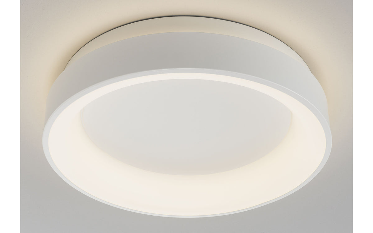 40550152 04 - Image