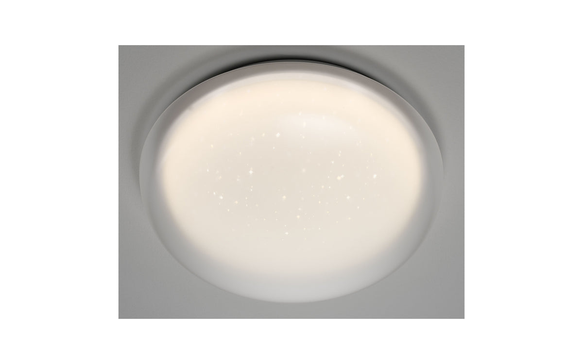 40550161 01 - Image