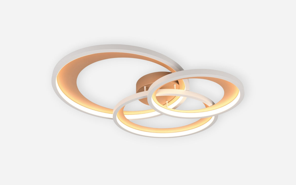 41101009 05 - Image