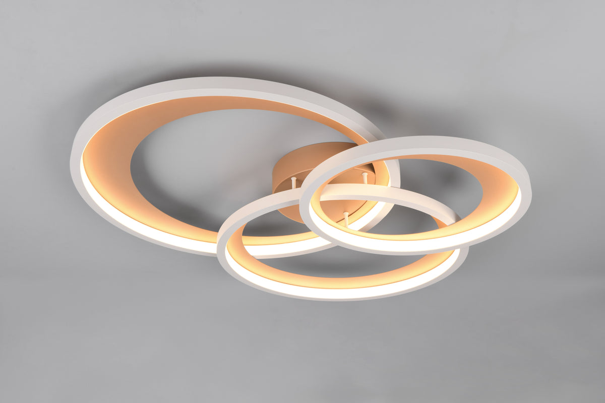 41101009 05 - Image