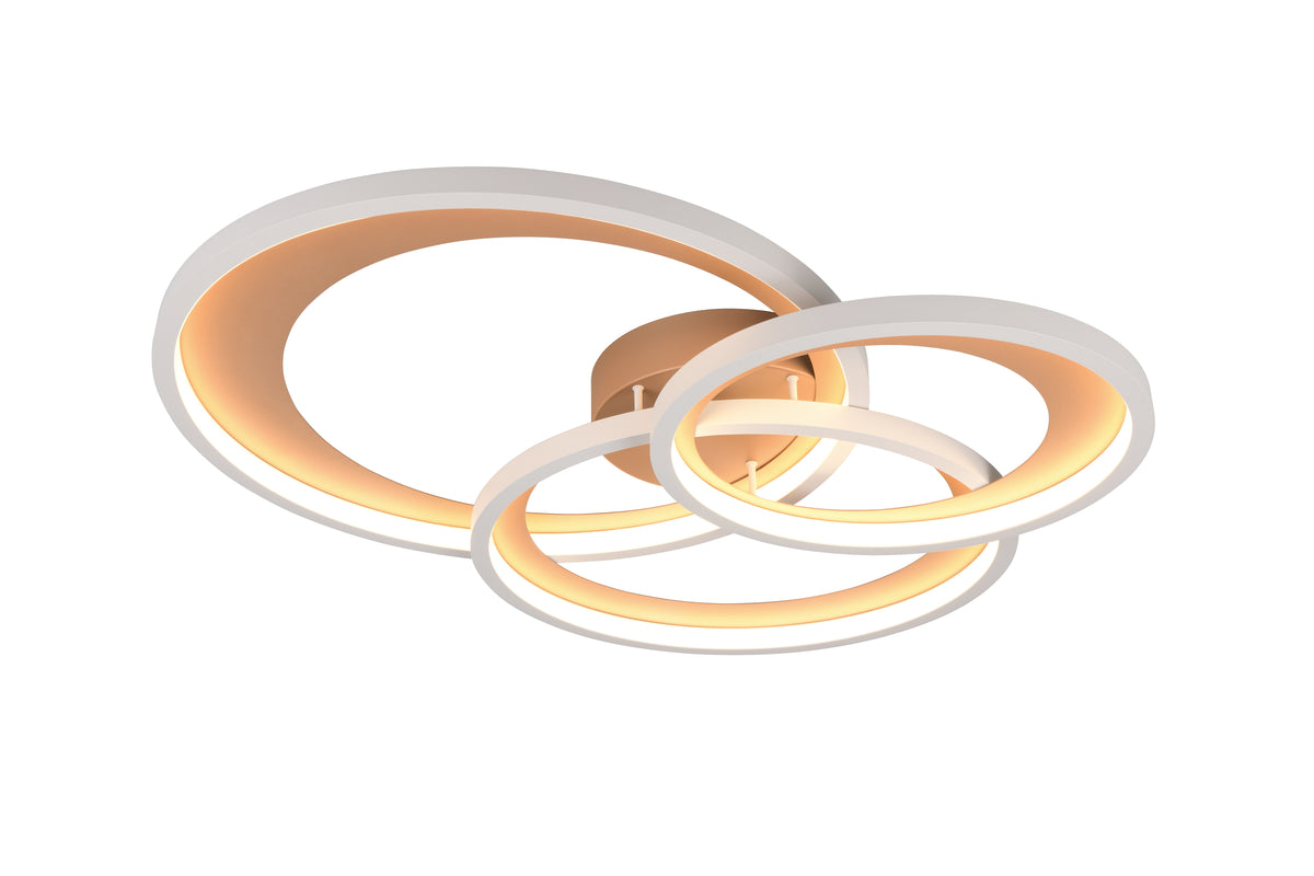 41101009 05 - Image