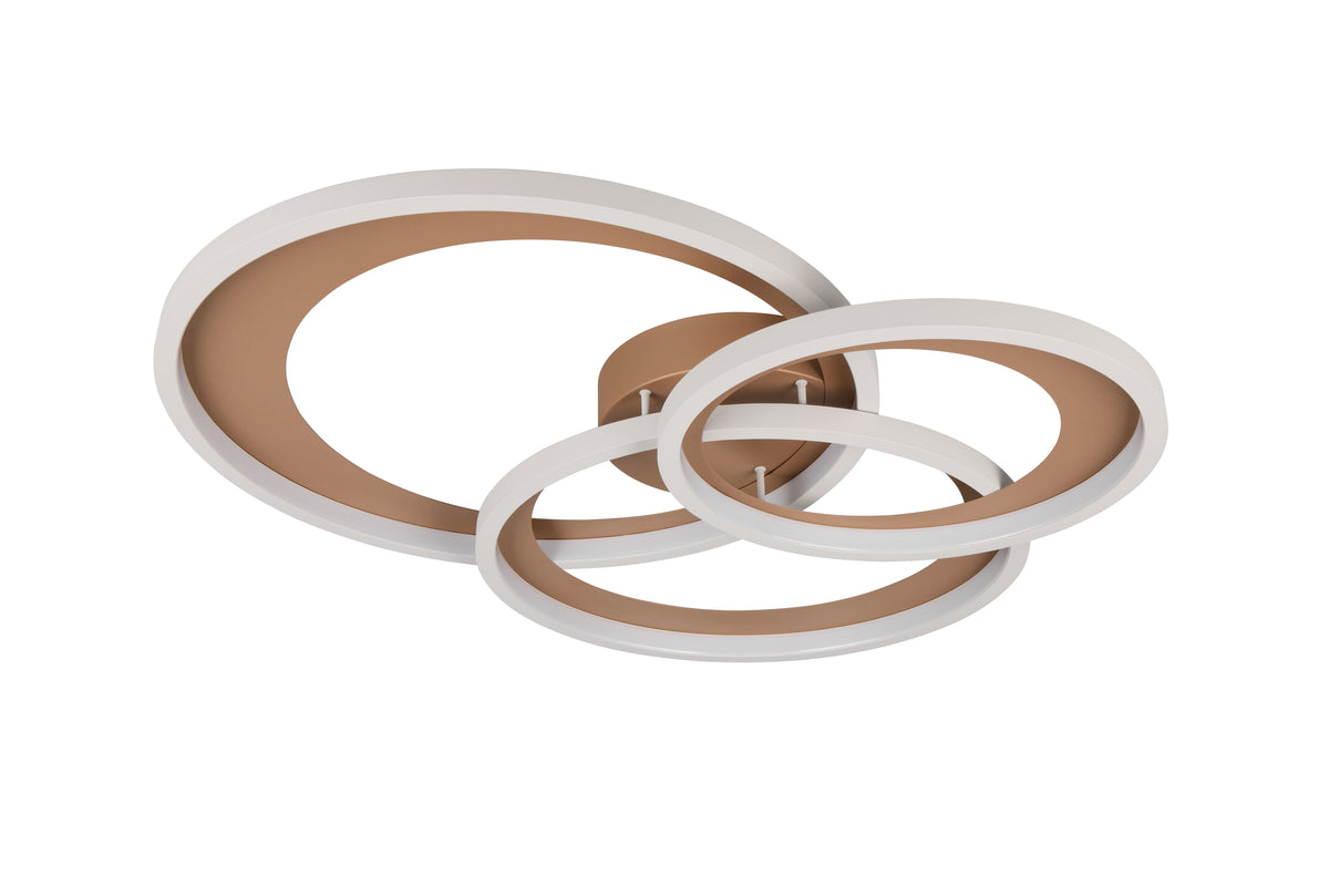 41101009 05 - Image