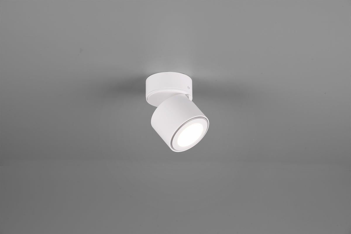 41101069 01 - Image