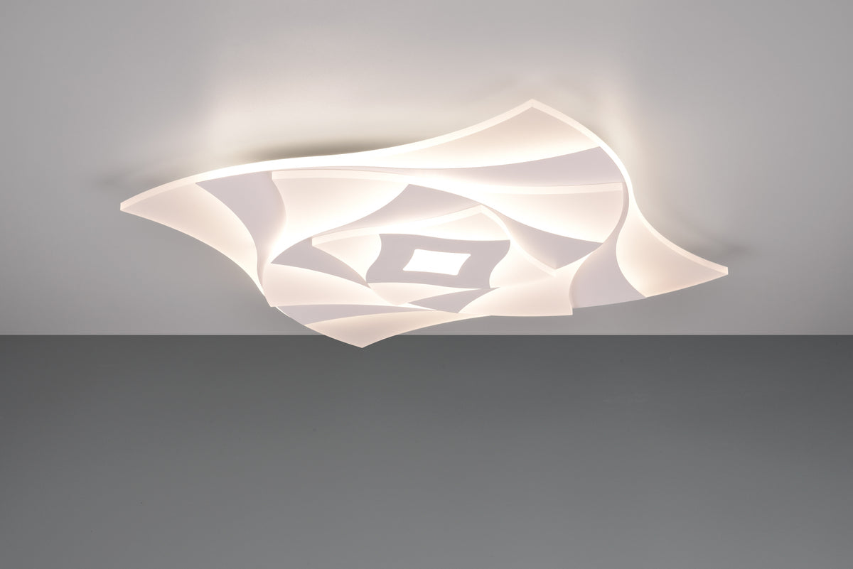 41101087 01 - Image