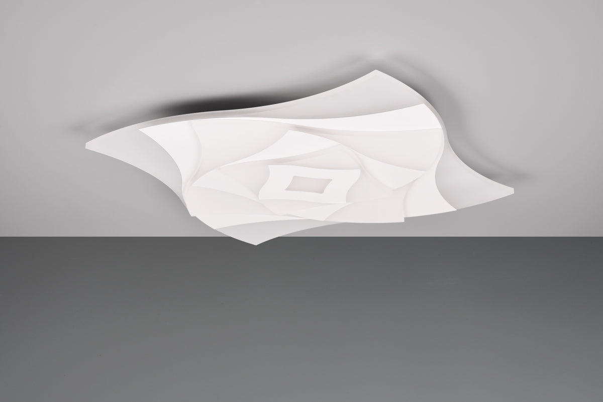 41101087 01 - Image