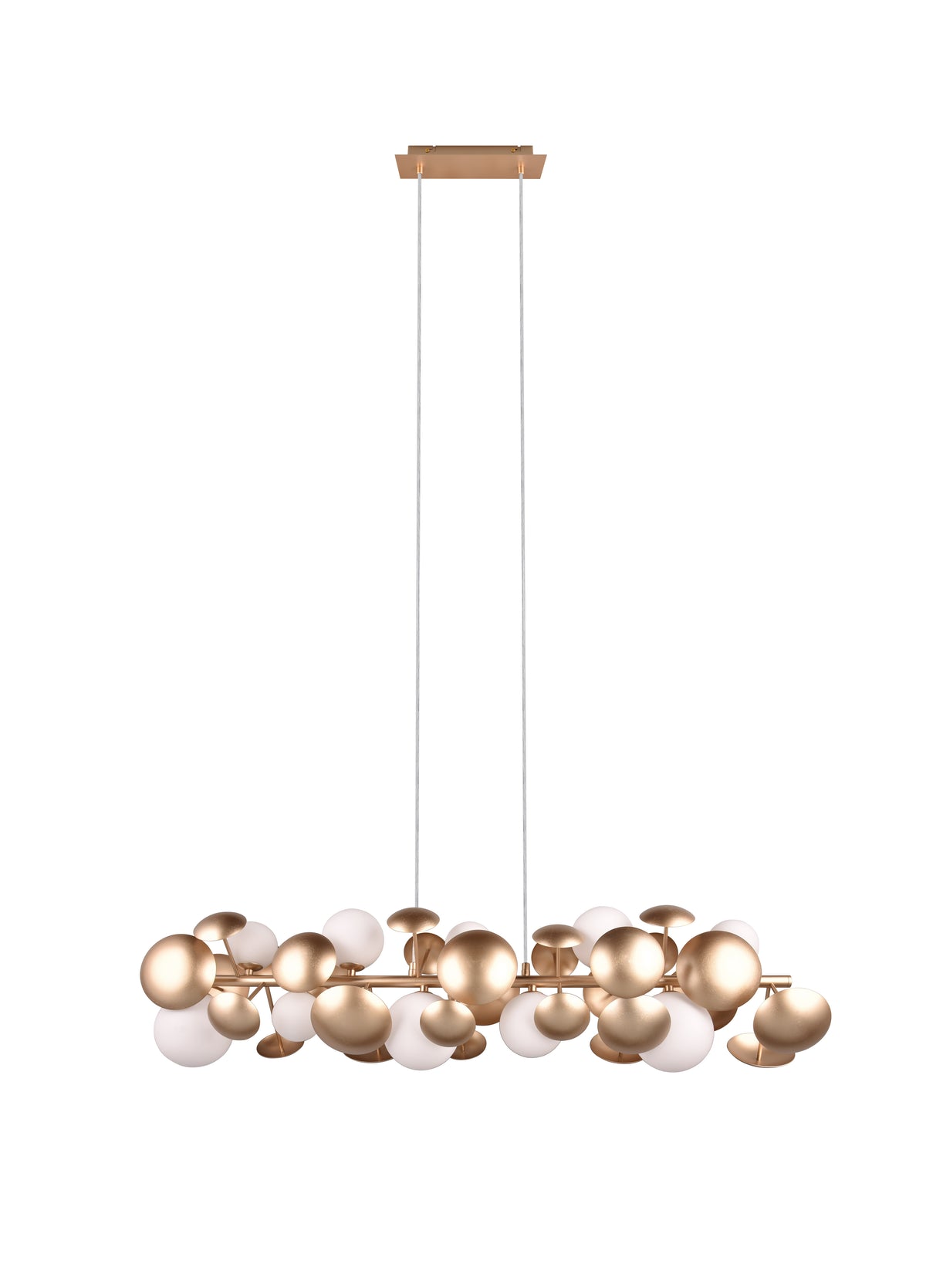 41101091 01 - Image