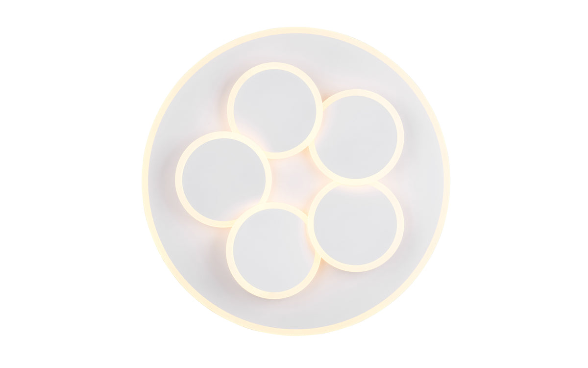 41101107 03 - Image