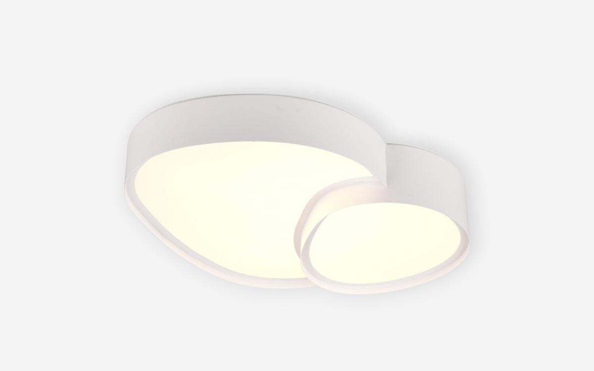 41101108 03 - Image