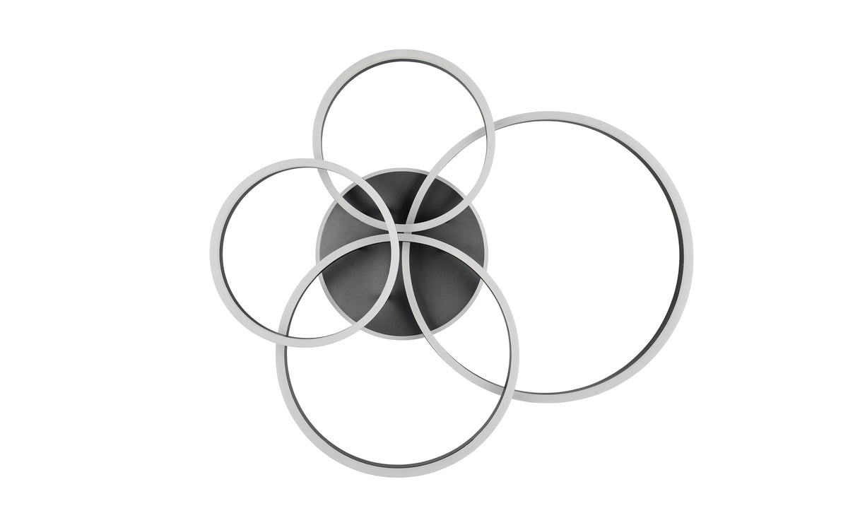 41101141 01 - Image