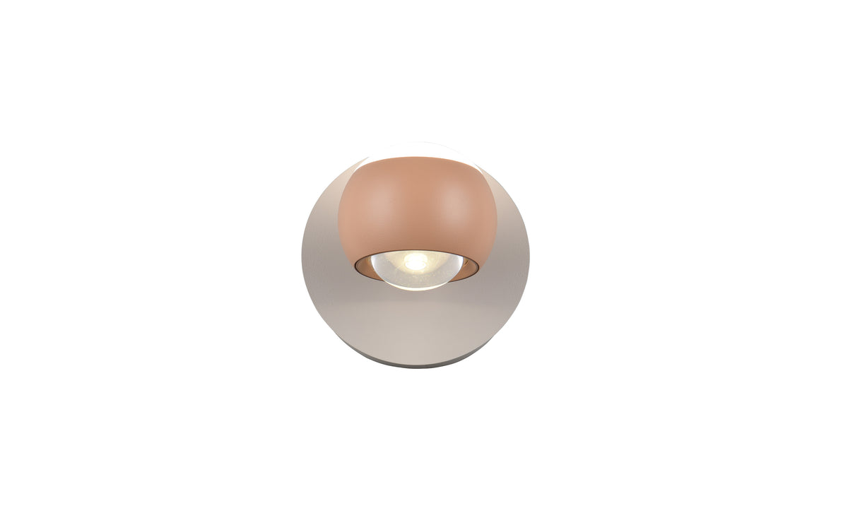 41110003 13 - Image