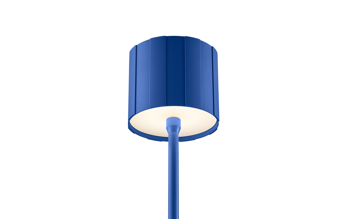 41110005 09 - Image