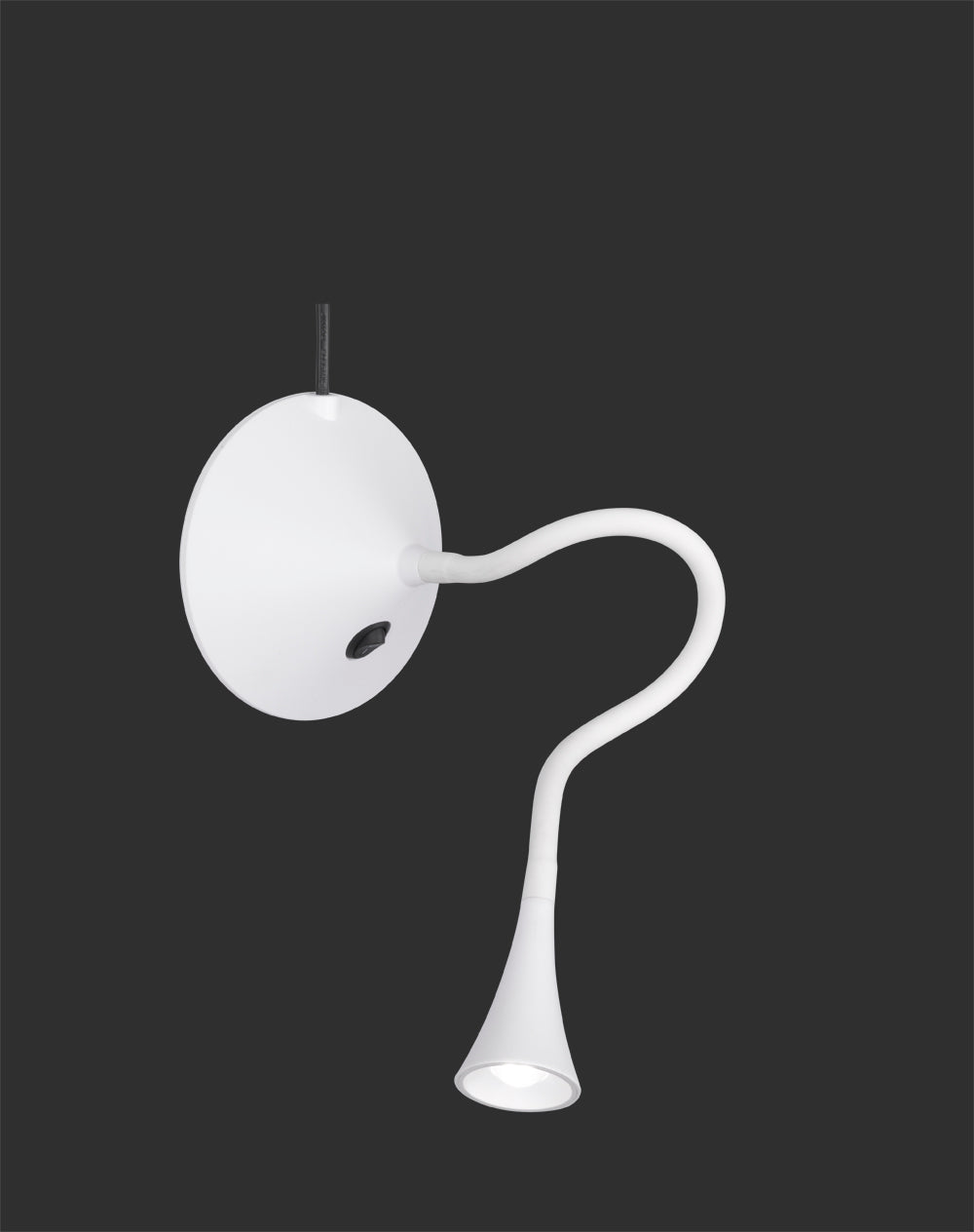 41700075 - Image