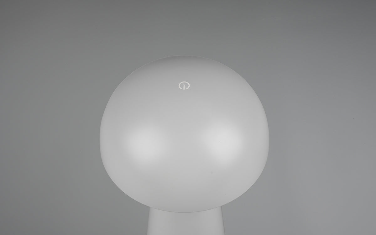 41700486 04 - Image