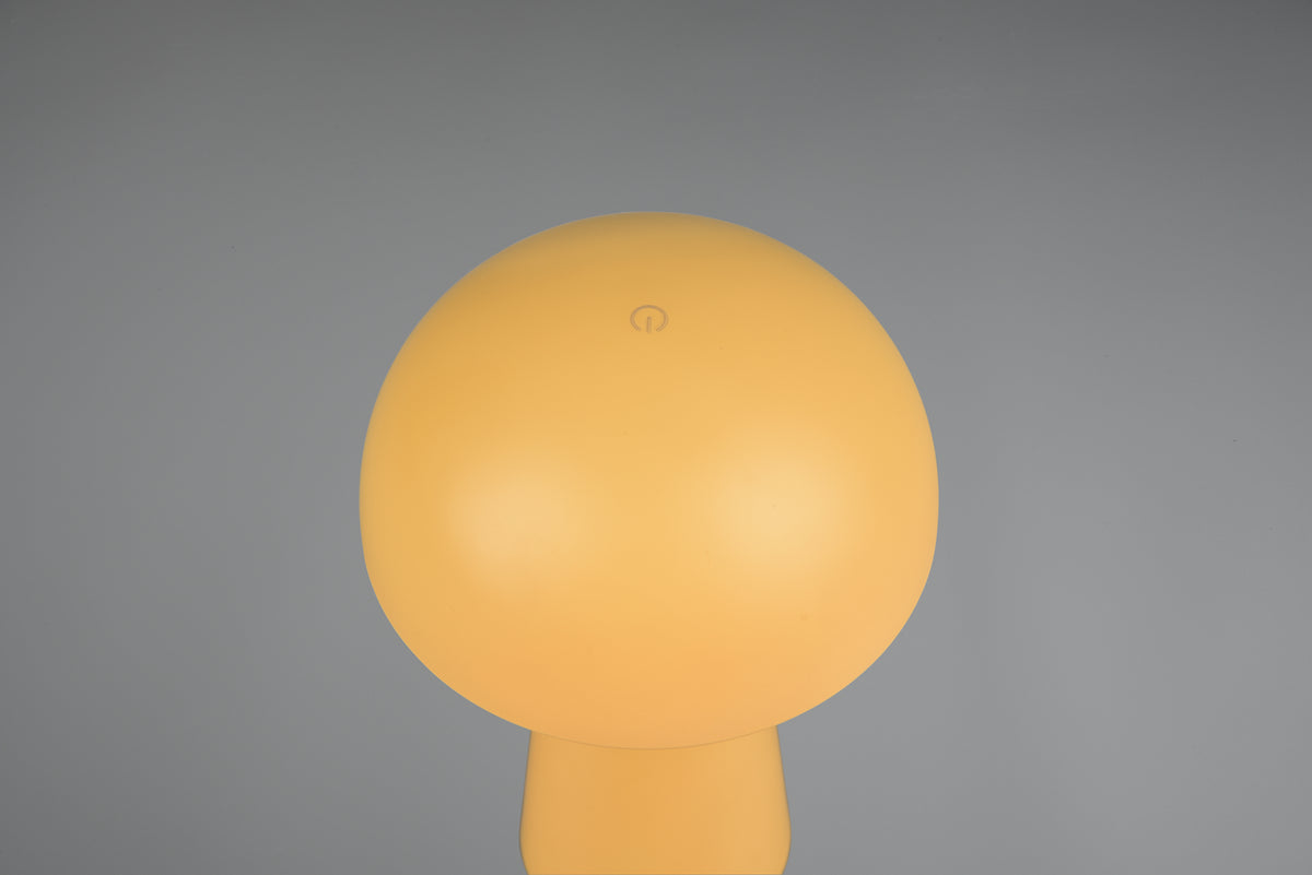 41700486 05 - Image