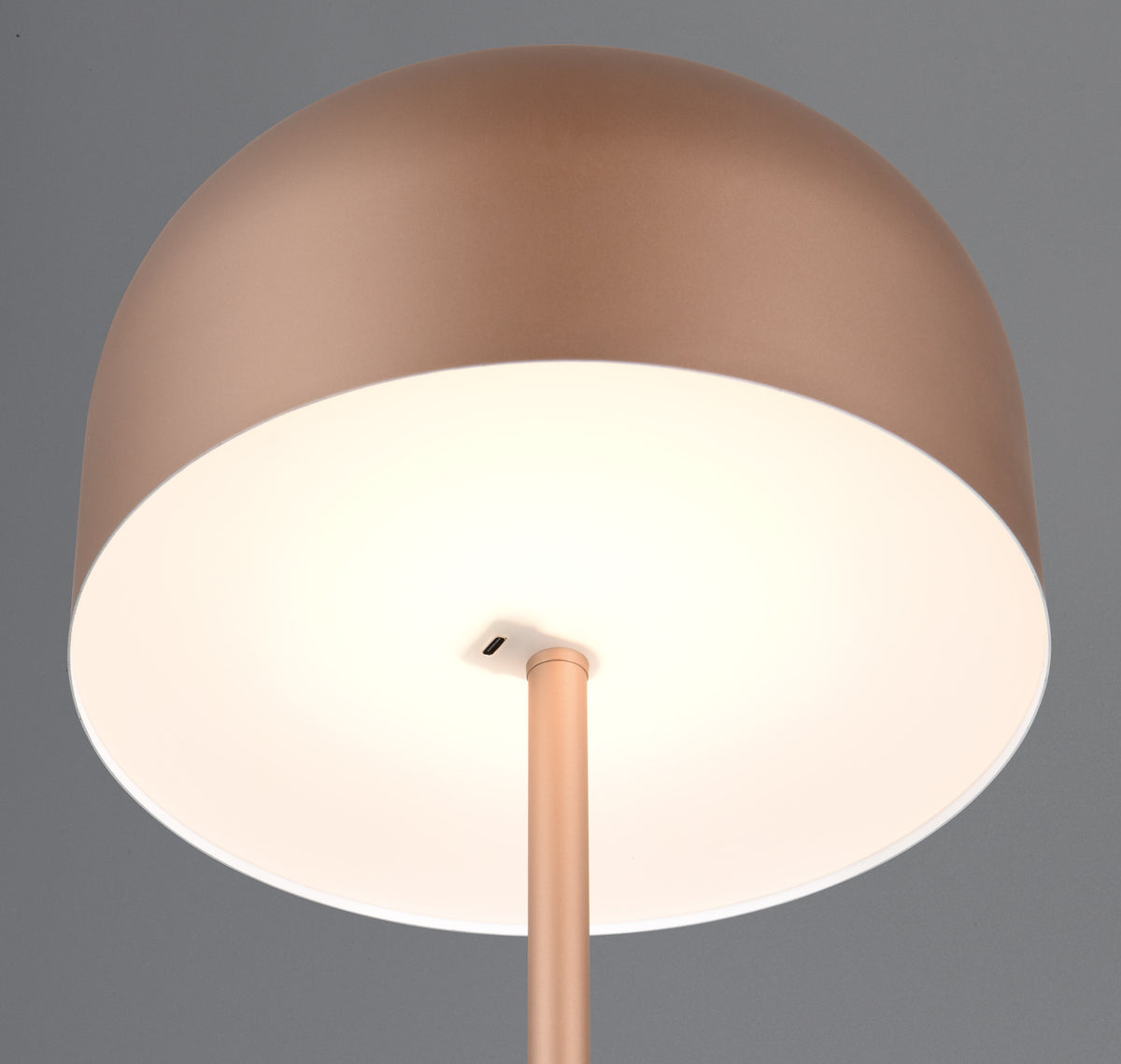 41700506 13 - Image