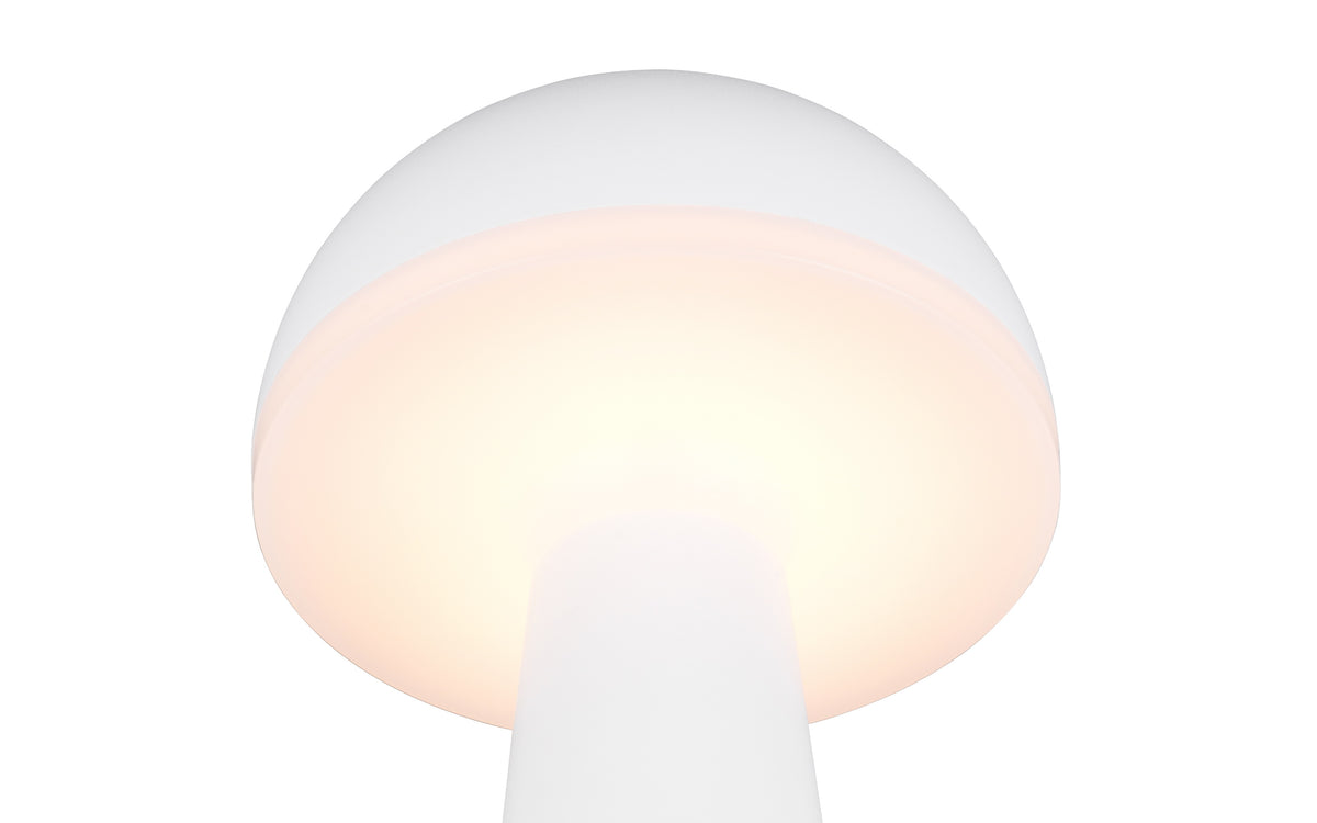 41700507 01 - Image