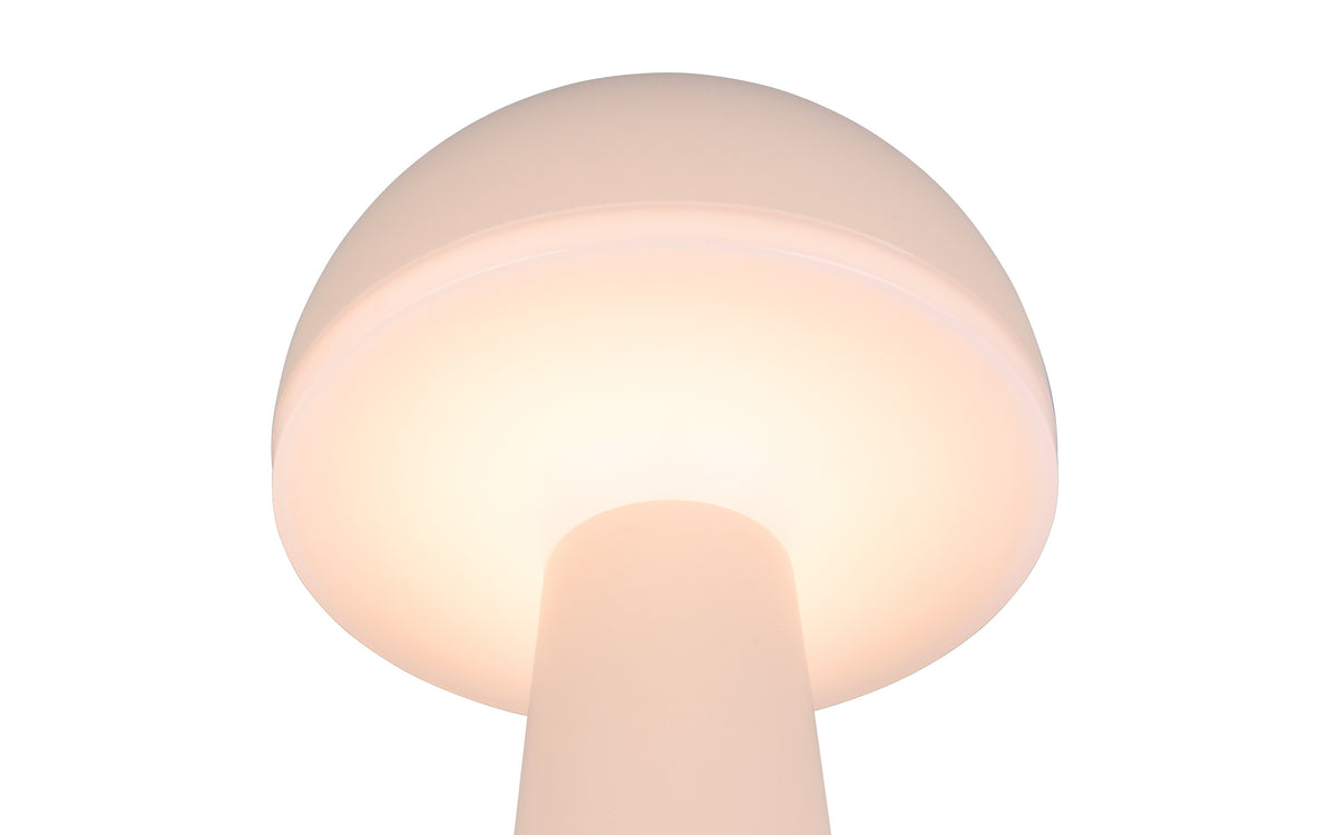 41700507 03 - Image