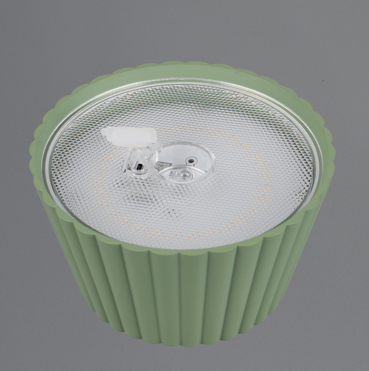 41700508 04 - Image