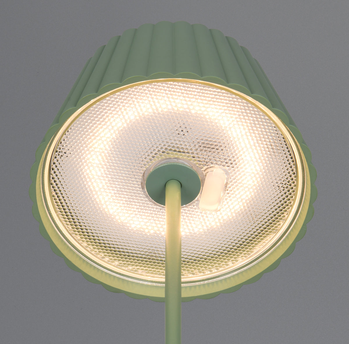 41700508 07 - Image